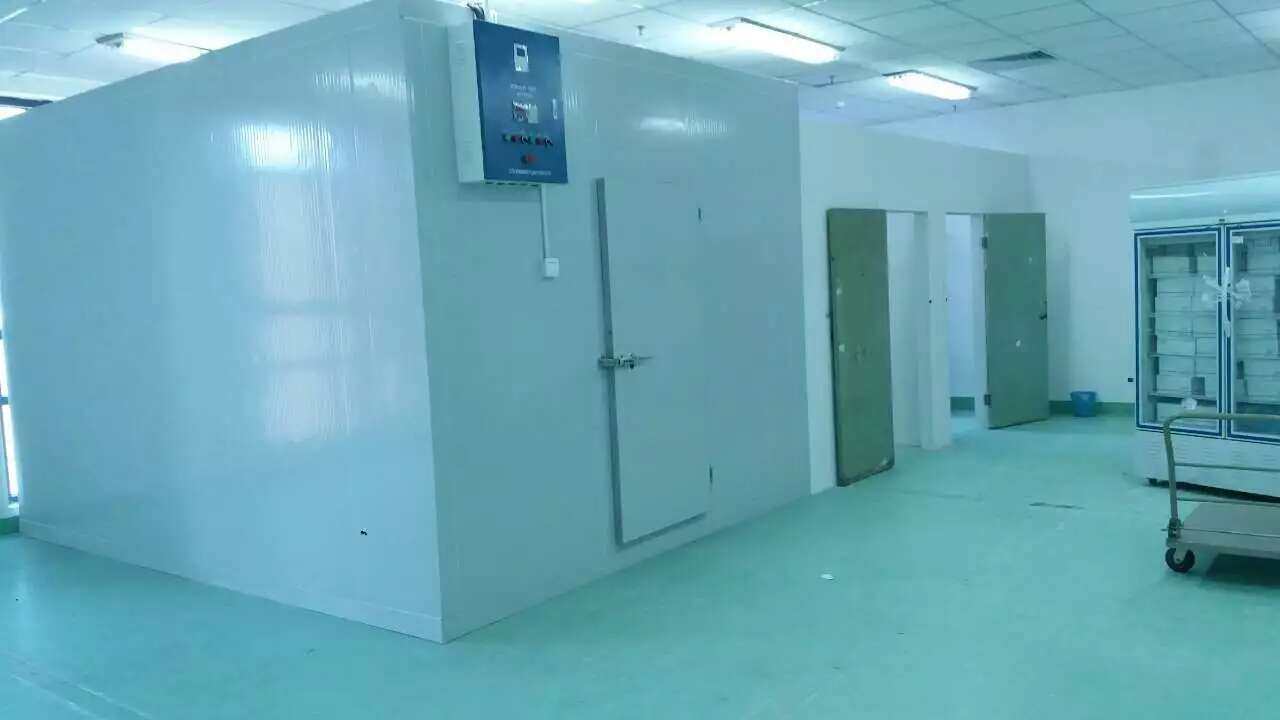 醫(yī)藥冷庫(kù) 藥監(jiān)局檢測(cè) 醫(yī)藥冷庫(kù) 藥監(jiān)局檢測(cè)